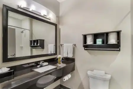 Best Western Plus Laredo Inn & Suites - 54