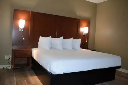 Wingate by Wyndham College Station South - 59