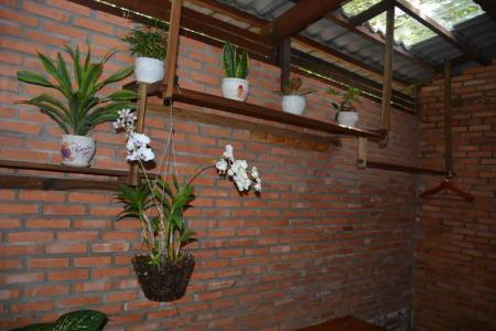 Ancarine Beach Resort - 107