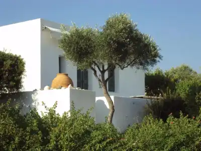 Niriides Resort - 17