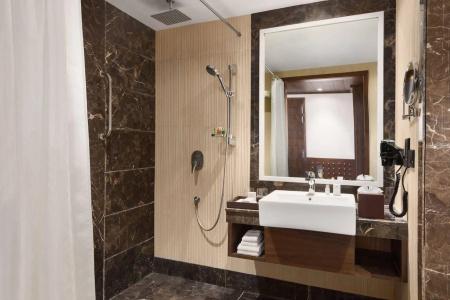 Ramada Plaza by Wyndham Agra - 8