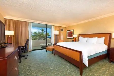 Hilton Waikoloa Village - 108