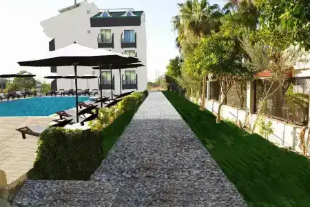 Side Azalia Garden - 1