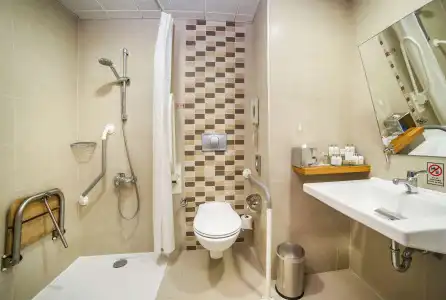 Radisson President Beyazit Istanbul - 56