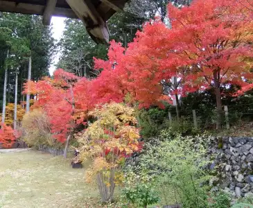 Koyasan Shukubo Jokiin - 23