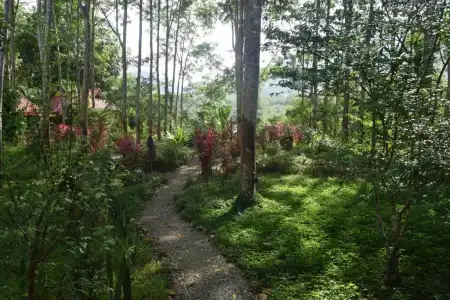 Manora Garden B & B - 49