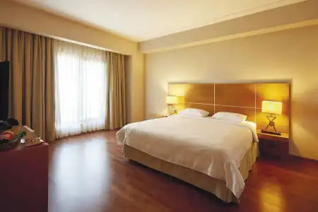 Anemon Kent İskenderun Otel - 7
