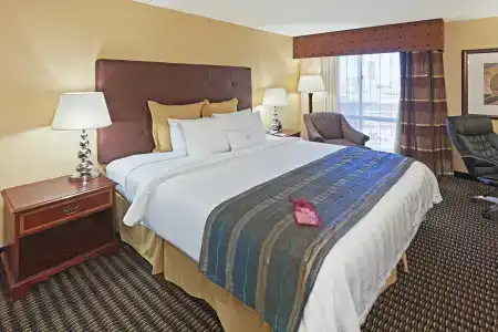 Crowne Plaza Dallas Downtown by IHG - 2