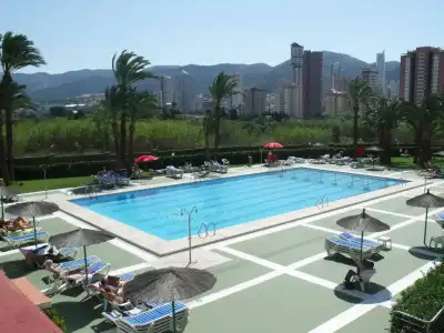 Caballo de Oro - 7
