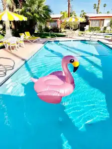 A Place In The Sun - Adults Only - 44