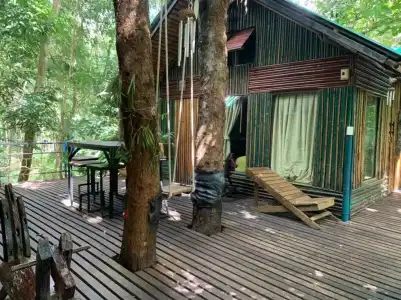Khao Sok Tree House - 72
