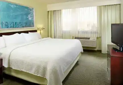 SpringHill Suites Houston Medical Center/NRG Park - 2