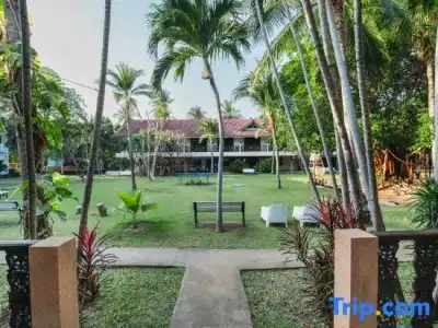 Dolphin Bay Beach Resort - 260