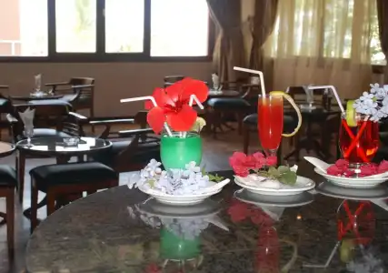 Oasis Hôtel & Spa - 26