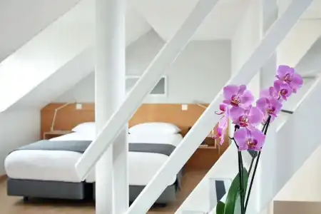 Hôtel des Alpes - 48