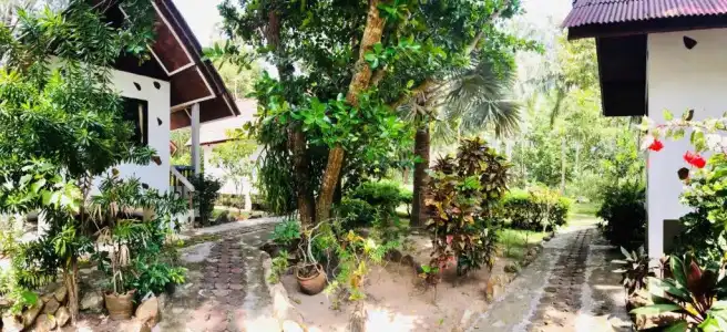 Haad Khuad Resort - 125