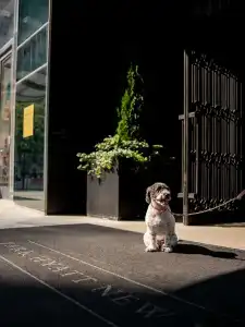 Park Hyatt New York - 42