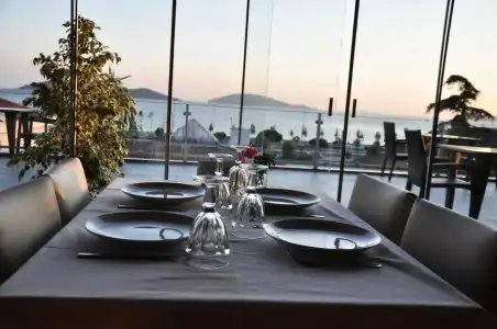 Dragos Island - 20