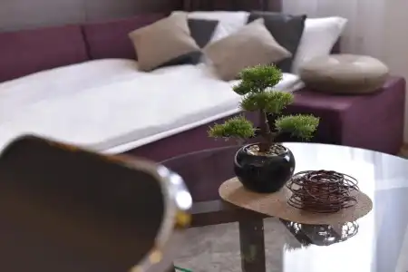 Boutique Rooms - 129