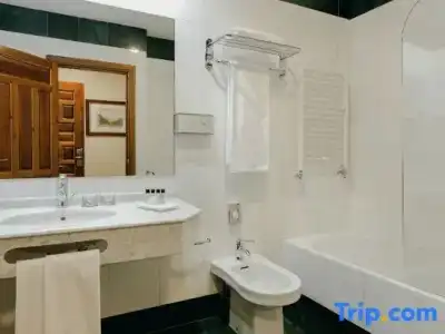 Sercotel Palacio de Los Gamboa - 71