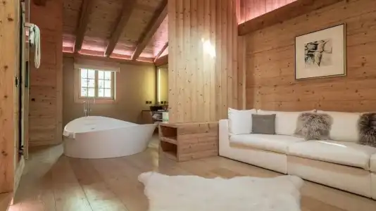 Hôtel de Rougemont & Spa - 85