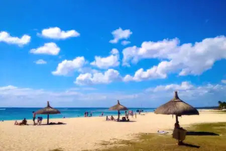 Sugar Reef West Coast - 12