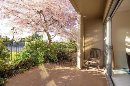 Saxton Lodge - 50