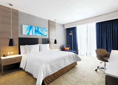 Hilton Garden Inn Mexico City Santa Fe - 53