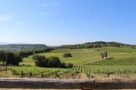 Fattoria San Donato - 102