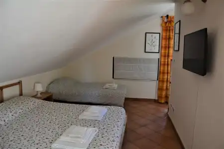 Betulla dell'Etna - 13
