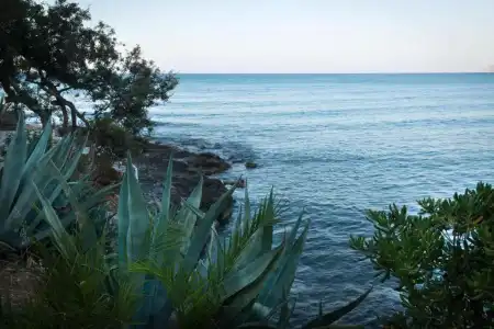 Villa Asterias - 16