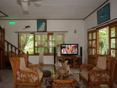 Kot Babi - 6