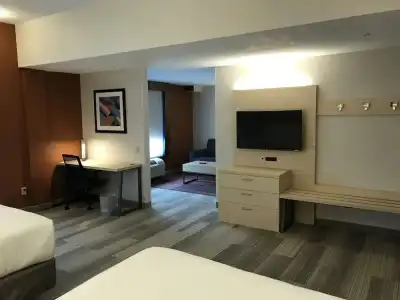 Holiday Inn Express Orlando S. Davenport - 4