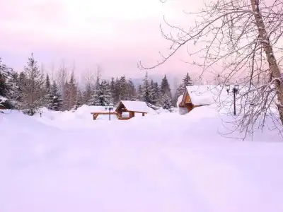 Glacier House Resort - 56