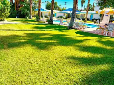 A Place In The Sun - Adults Only - 36