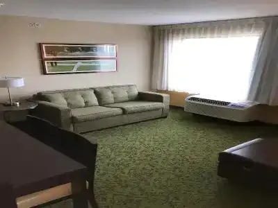 TownePlace Suites by Marriott Lexington South/Hamburg Place - 30