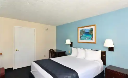 Americas Best Value Inn Bradenton Sarasota - 5
