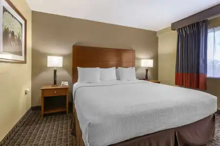 Best Western Plus Scottsdale Thunderbird Suites - 93