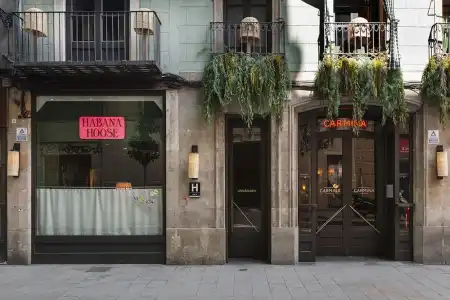 chic&basic Habana Hoose - 0