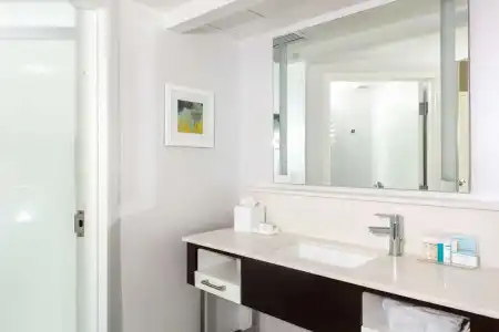 Hampton Inn & Suites Arlington Crystal City DCA - 34