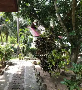 Haad Khuad Resort - 141