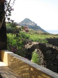 Agriturismo Zibibbodoro - 171
