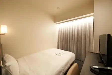 Sotetsu Fresa Inn Ochanomizu Jimbocho - 27