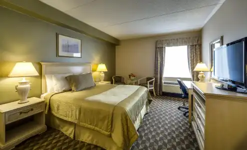 Monte Carlo Inn Toronto - Markham - 38