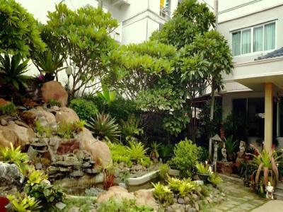 Loei Orchid - 19