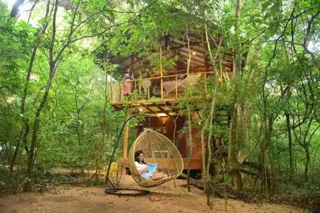Back of Beyond - Pidurangala - 63