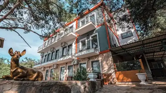 Cunda Deniz Yıldızı Otel - 0