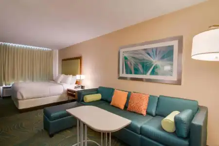 SpringHill Suites by Marriott Orlando Lake Buena Vista South - 26