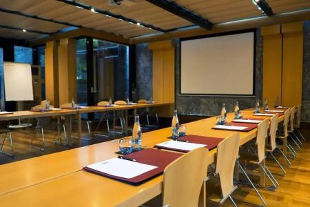 Sansi Pedralbes - 35