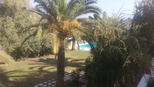 Kyriaki - 74